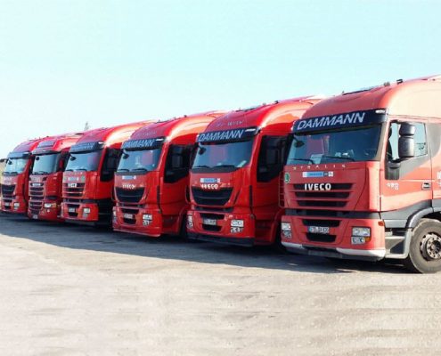 Leinwand Dammann bearbeitet