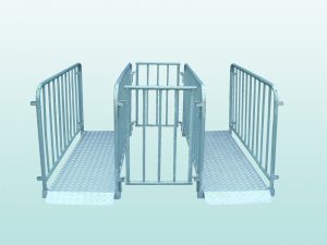 P Nr. 43001 Eingangs Schleuse Typ M2B