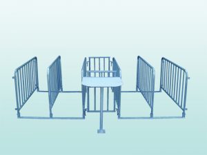 P Nr. 43003 Eingangs Schleuse Typ M4T