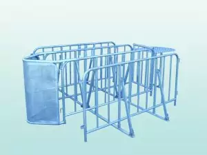 P Nr. 43007 Eingangs Schleuse Typ B2KT